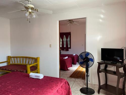 a room with a bed and a fan and a tv at Casa608 in Granada