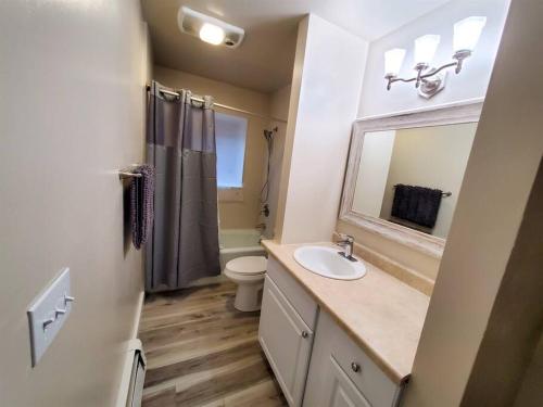 a bathroom with a sink and a toilet and a mirror at Ocean & Mountain View Duplex, both sides in Juneau