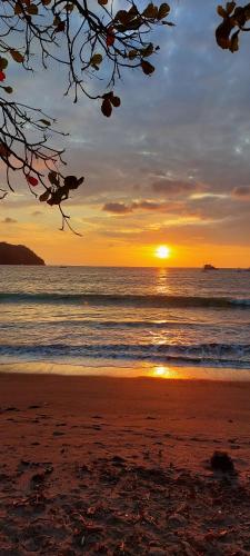 Selva Pacific – Photos 3