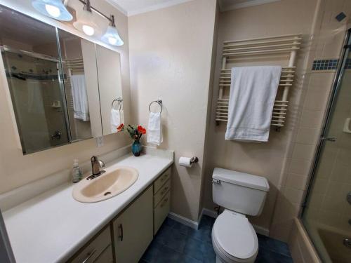W łazience znajduje się umywalka, toaleta i lustro. w obiekcie Secluded Oasis Near Mendenhall Glacier and Trails w mieście Mendenhaven