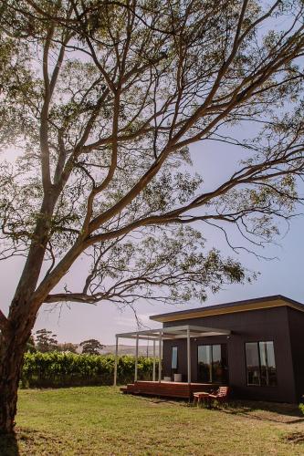 a house with a tree in front of it at Little Lodge - Willunga - C21 SouthCoast Holidays in Willunga