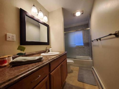 a bathroom with a sink and a toilet and a mirror at Updated Duplex with Mountain & Filtered Water View in Juneau