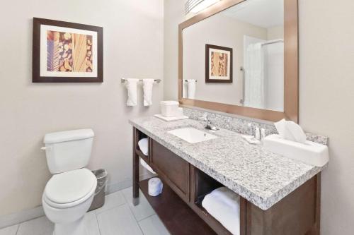 a bathroom with a sink and a toilet and a mirror at Comfort Inn Dunn near I-95 in Dunn