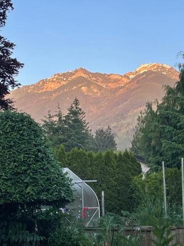 Mountainview Cottage – Photos 5
