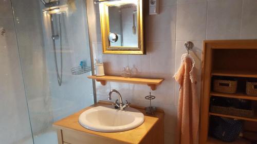 La salle de bains est pourvue d'un lavabo, d'une douche et d'un miroir. dans l'établissement Ferienhaus für 4 Personen ca 100 qm in Nova Vas nad Dragonjo, Küstenland Slowenien, à Nova Vas nad Dragonjo
