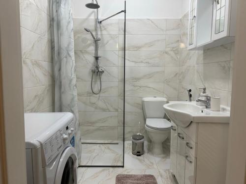 een badkamer met een douche, een toilet en een wastafel bij Salve Teplice in Teplice