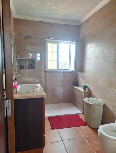 a bathroom with a shower and a sink and a toilet at Apartamento Bela Vista Ilha Terceira in Feteira