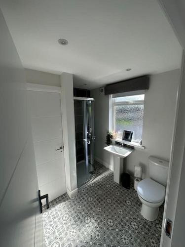 La salle de bains est pourvue de toilettes, d'une douche et d'un lavabo. dans l'établissement Westland Suites - Stylish, Modern, Elegant, Central Apartments, à Londonderry County Borough
