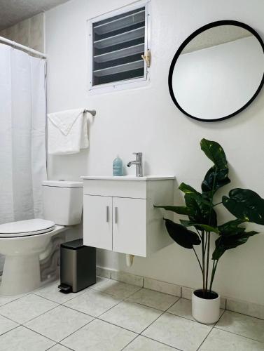 uma casa de banho com um lavatório, um espelho e uma planta em San Juan apartments new em San Juan