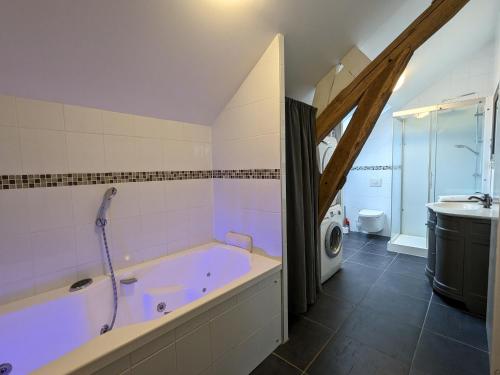ein Badezimmer mit einer Badewanne, einem Waschbecken und einer Waschmaschine in der Unterkunft Gîte Sigloy, 3 pièces, 5 personnes - FR-1-590-125 in Sigloy