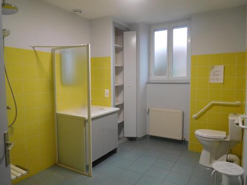a bathroom with a shower and a sink and a toilet at Gîte Cirfontaines-en-Ornois, 6 pièces, 12 personnes - FR-1-611-30 