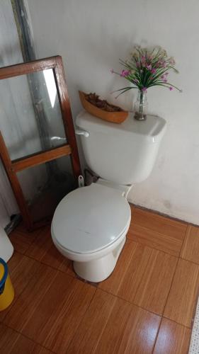 a bathroom with a toilet with a plant on it at CASA JARDIN in Sonsonate