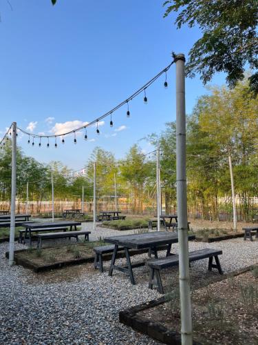 a group of picnic tables in a park with lights at Isbjorn chiangdao in Chiang Dao