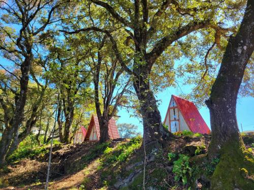 uma casa vermelha numa colina com árvores em Campestre Camp em Chignahuapan