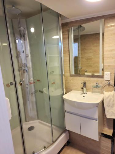 a bathroom with a shower and a sink at NEW HOTEL CRUZ DEL SUR in Concepción