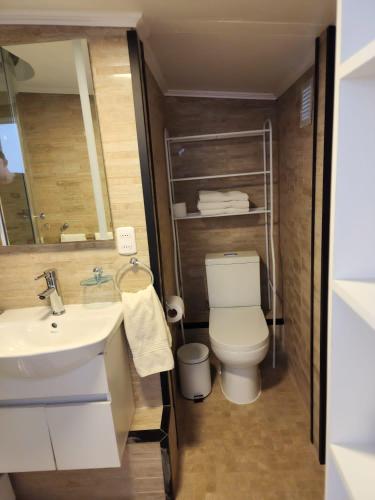 a bathroom with a toilet and a sink and a mirror at NEW HOTEL CRUZ DEL SUR in Concepción
