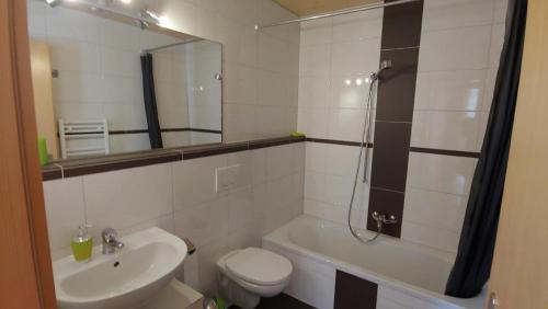 een badkamer met een wastafel, een toilet en een douche bij Wohnung mit 3 Schlafzimmern Wylerdümen in Innertkirchen