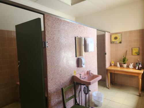 La salle de bains est pourvue d'un lavabo rose et d'un miroir. dans l'établissement The Exchange Hotel, à Kyogle