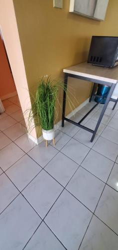 a table and a potted plant on a tiled floor at Finest Accommodation Caribbean Estate Lot 78 in Portmore