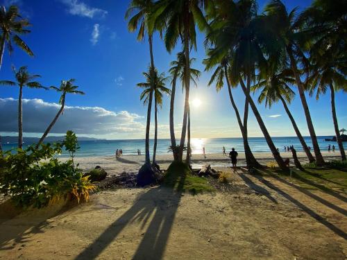 a group of palm trees on a beach with the ocean at Urban Boutique Hotel in Boracay