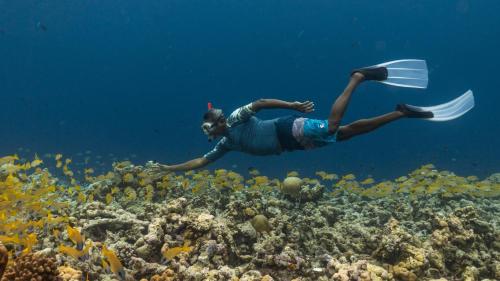 a man is swimming over a coral reef at Three Hearts Guesthouse and Villas in Fulhadhoo