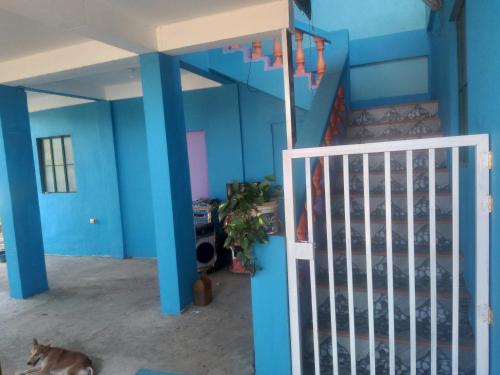 a room with blue walls and a crib with a cat in it at Angel's Homestay 