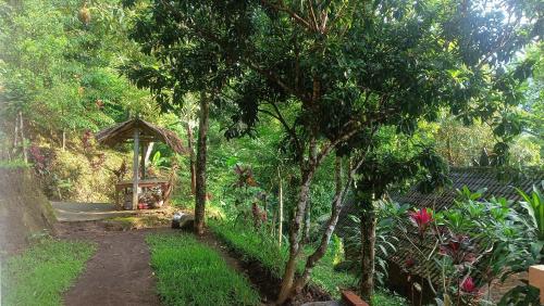 a garden with a bench and trees and a path at Buda's Homestay Lemukih in Buleleng