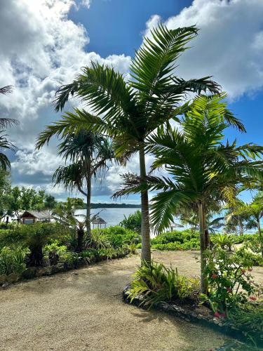 Nasama Resort – Photos 2