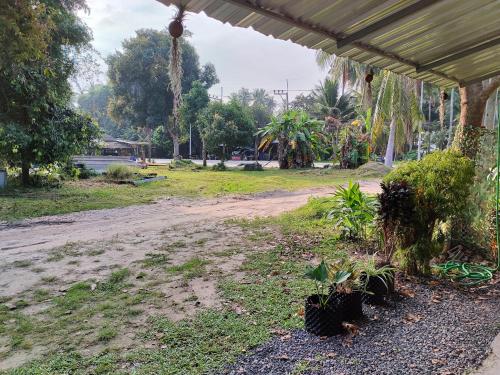 una strada sterrata con alcune piante in un parco di Tripovali guest 2 a Ko Phangan