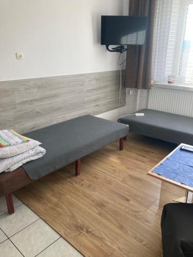 a living room with a couch and a tv at Pokoje Gościnne Nad Łódką in Konstantynów Łódzki