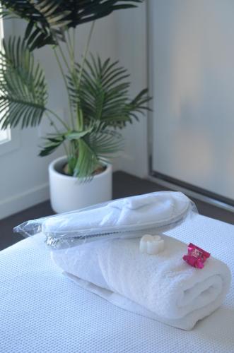 a stack of towels on a table with a plant at Upper Coomera Castle 2 in Gold Coast