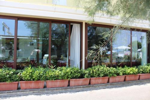 Imagen de la galería de Hotel Splendid, en Gabicce Mare