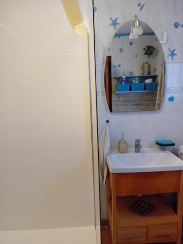 een badkamer met een wastafel en een spiegel bij maison dans jardin in Torreilles