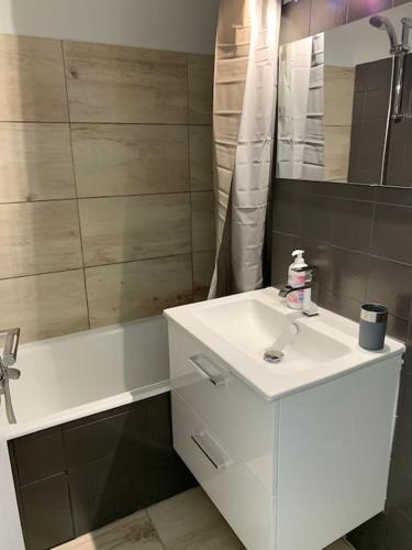 une salle de bain blanche avec un lavabo et une douche dans l'établissement STUDIO VUE IMPRENABLE SUR LE LAC MARIN ET CANIGOU, au Barcarès