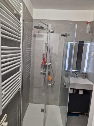 Apartman RONI