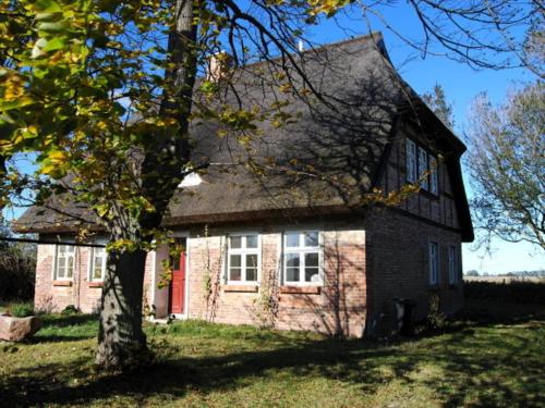 a brick house with a red door and a tree at Ferienwohnung Rügen in Putgarten in Putgarten