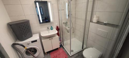a bathroom with a shower and a toilet and a sink at Studio / Ferienwohnung Bamlach in Bad Bellingen
