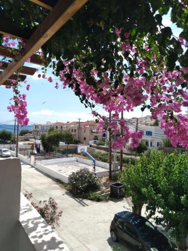 un coche aparcado bajo un árbol con flores rosas en Iokasti studio 4, en Ándros