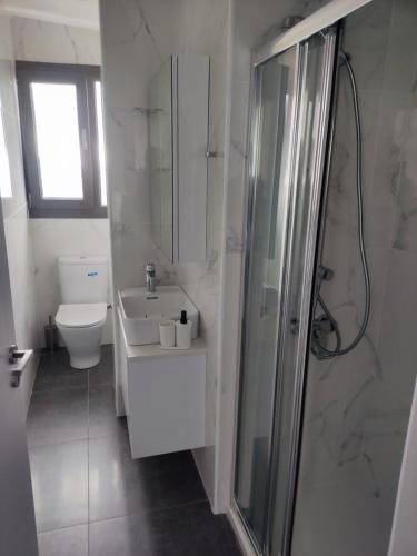 een badkamer met een toilet, een wastafel en een douche bij Arxaia skala in Kyperounda