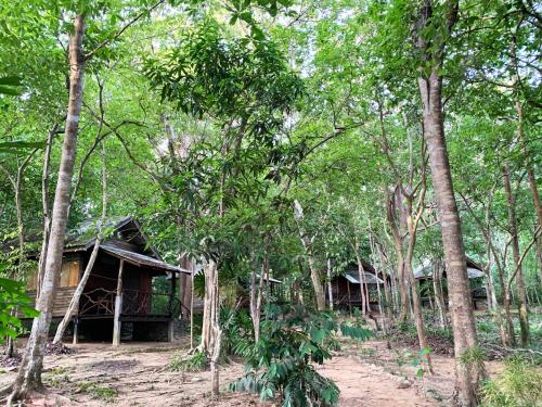 une cabane au milieu d'une forêt plantée d'arbres dans l'établissement Room in Bungalow - Foresta Cottage of Koh Pu no6197, à Ko Jum