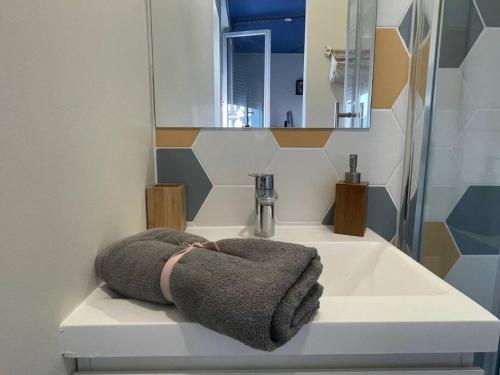 La salle de bains est pourvue d'un lavabo et d'une serviette. dans l'établissement St Bruno - Studio Tropiques , à Grenoble