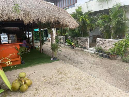 un montón de cocos en el suelo delante de un edificio en Sugesty Homestay, en Bumbang