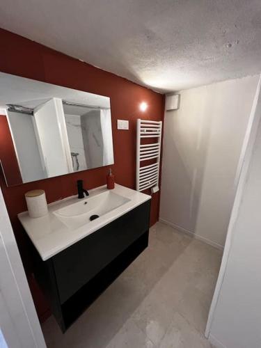 y baño con lavabo y espejo. en studio avec jardin et stationnements en Bourges