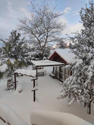 Gallery image of Ξύλινο Chalet Κτήμα Παππά in Levádeia