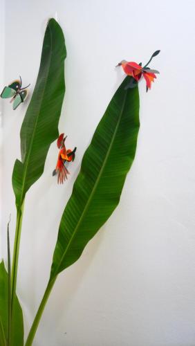 two butterflies on a green leaf next to a plant at Résidence Tropicale in Libreville
