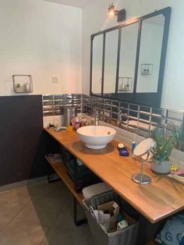 ein Badezimmer mit einem Waschbecken und einem großen Spiegel in der Unterkunft Chez Guillaume et ses filles… 