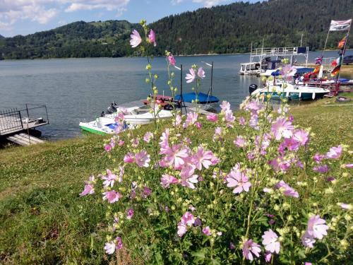 a bunch of flowers next to a body of water with boats at pensiunea Gabriela in Durau