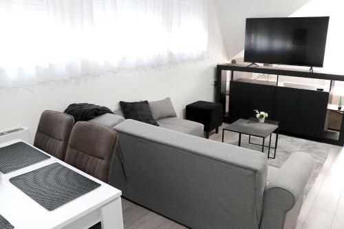 sala de estar con sofá y TV en Laganini, apartman 6 Tri Sky, en Nova Gradiška