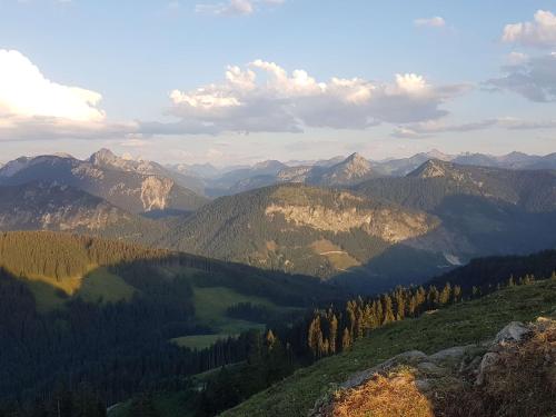 a view of a mountain valley with trees and mountains at 4-Sterne Tiny House als Rückzugsort für Naturliebhaber im Oberallgäu in Wertach