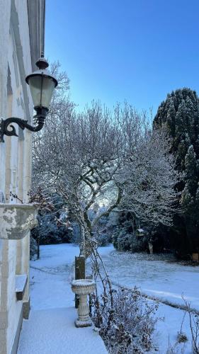 a tree in a vase in the snow next to a building at Bed & Breakfast By Genck in Oudenbosch